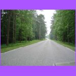 Endless Road Natchez Trace Parkway.jpg